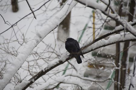 Журнал Компьютерра 11-18.1.2010 - i_062.jpg