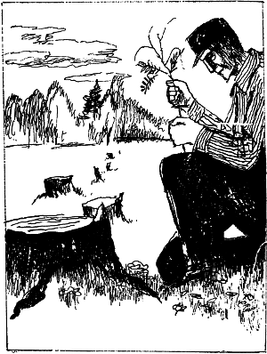 Эстонские повести - i_009.png