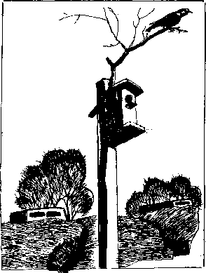 Эстонские повести - i_022.png