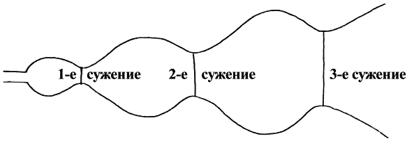 Владимир Соловьев против Данилевского - _898r.png