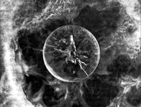 Трансильванская магия. Вавилонская «Книга Могущества» - i_001.jpg