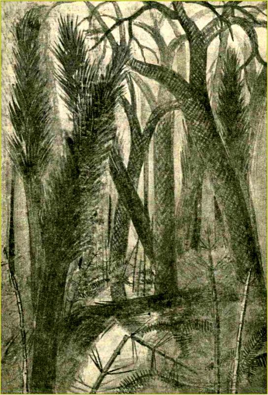 Победитель планеты (двенадцать разрезов времени)<br />Забытая палеонтологическая фантастика<br />Том X - i_004.jpg