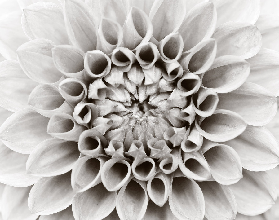 Целую кончики твоих крыльев - _1.jpg