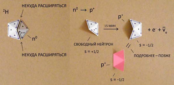 Мир вокруг нас - _43_neutron_decay.jpg
