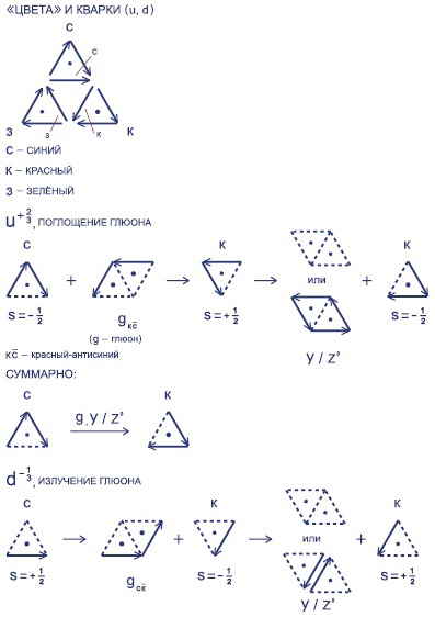 Мир вокруг нас - _250_gluon_colour.jpg