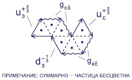 Мир вокруг нас - _251_gluon_strong_force.jpg