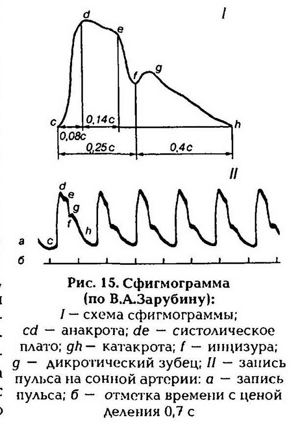 Нормальная физиология - _16.jpg