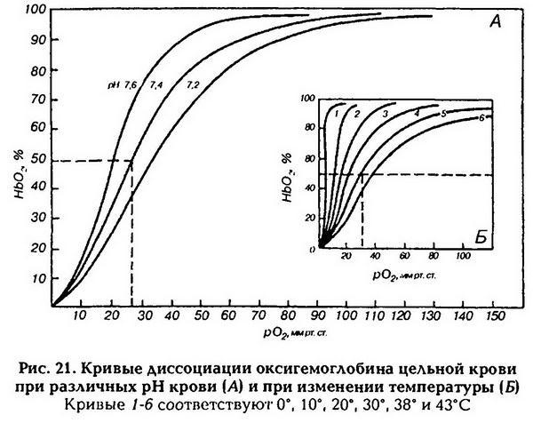 Нормальная физиология - _22.jpg