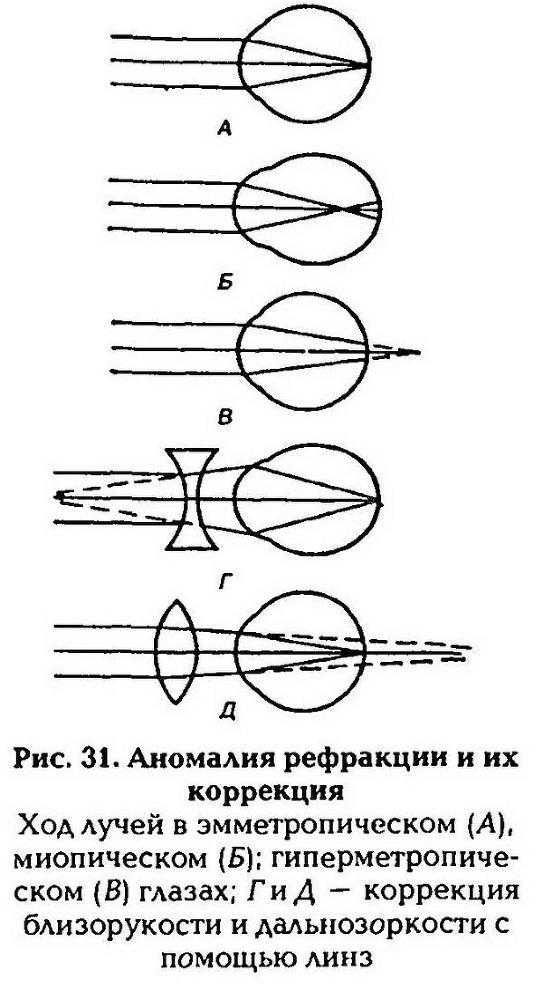 Нормальная физиология - _32.jpg