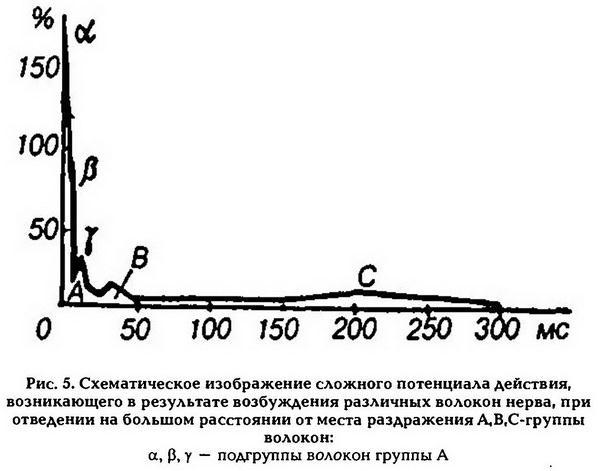 Нормальная физиология - _6.jpg