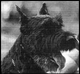 С ризеном по жизни - i_001.jpg