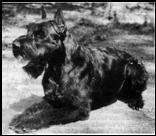 С ризеном по жизни - i_002.jpg