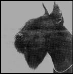 С ризеном по жизни - i_004.jpg