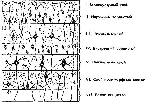 Дрессировка служебных собак - i_004.png