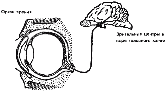 Дрессировка служебных собак - i_020.png