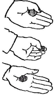 Дрессировка служебных собак - i_025.png