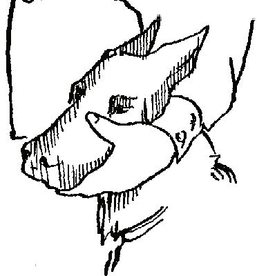 Дрессировка служебных собак - i_026.png