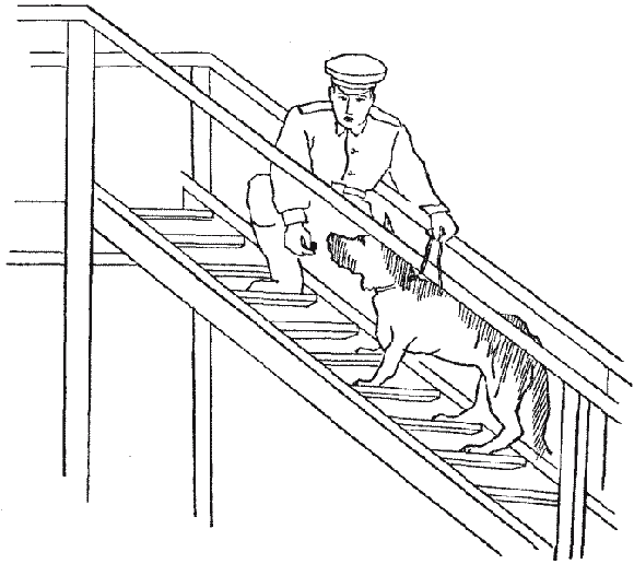 Дрессировка служебных собак - i_042.png