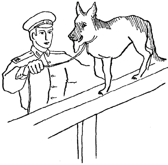 Дрессировка служебных собак - i_043.png