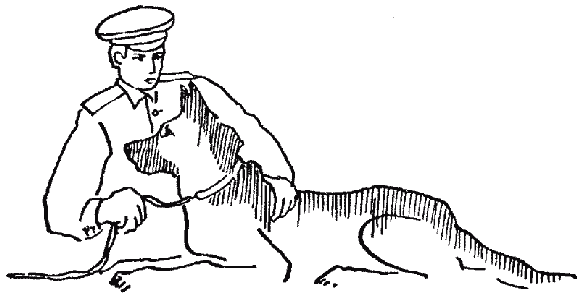 Дрессировка служебных собак - i_045.png