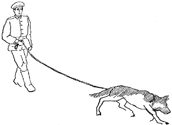 Дрессировка служебных собак - i_047.png