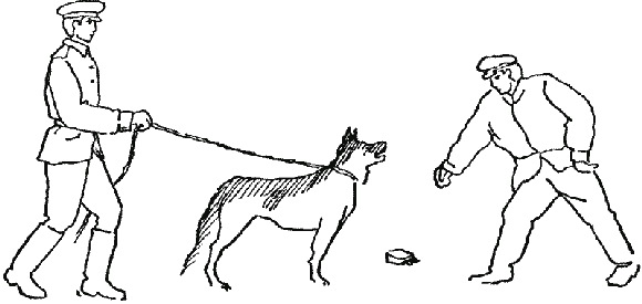 Дрессировка служебных собак - i_049.png