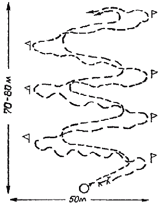 Дрессировка служебных собак - i_072.png