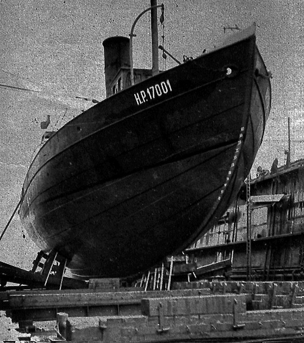 Ледокольный флот России 1860-е – 1918 гг. - i_011.jpg