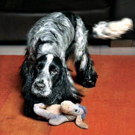 Меня зовут Бригантина - i_003.jpg