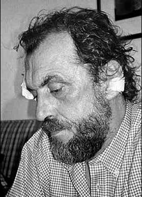 Сербия о себе. Сборник - i_029.jpg