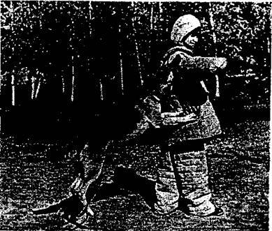 Защитно-караульная служба - i_006.jpg