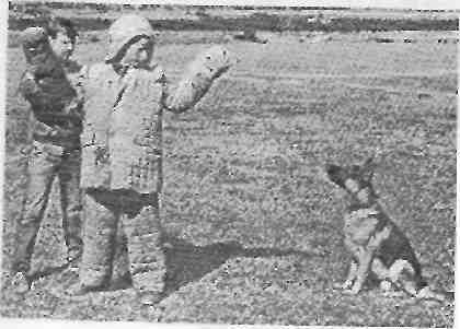 Защитно-караульная служба - i_007.jpg