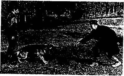 Защитно-караульная служба - i_009.jpg