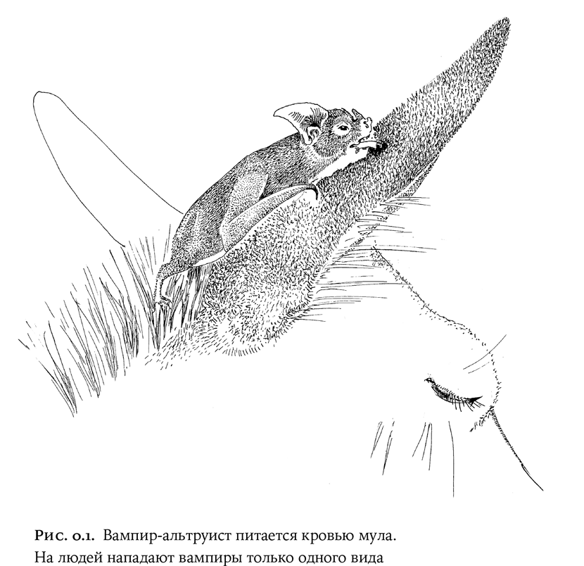 Люди и звери: мифы и реальность - i_002.png