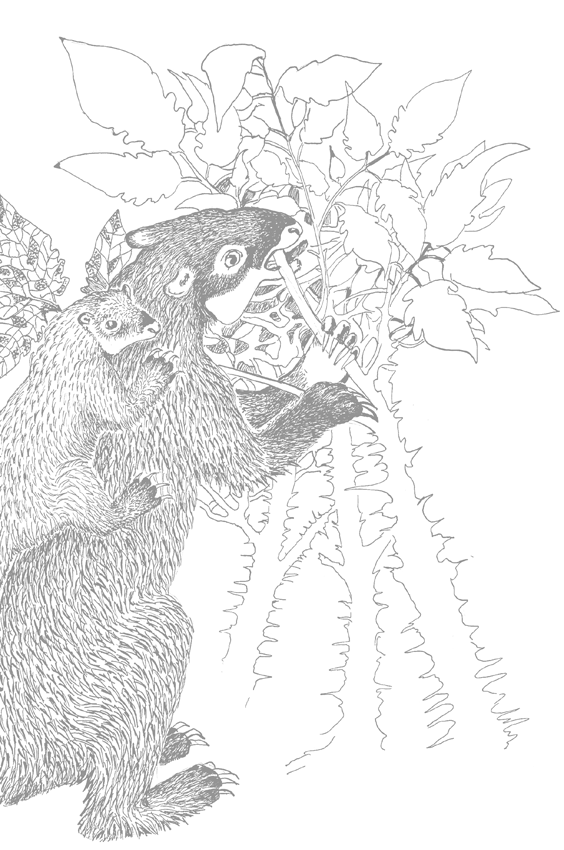 Люди и звери: мифы и реальность - i_007.png