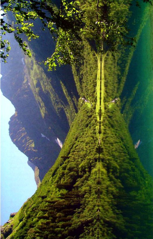 Птицы небесные. 1-2 части - i_001.jpg