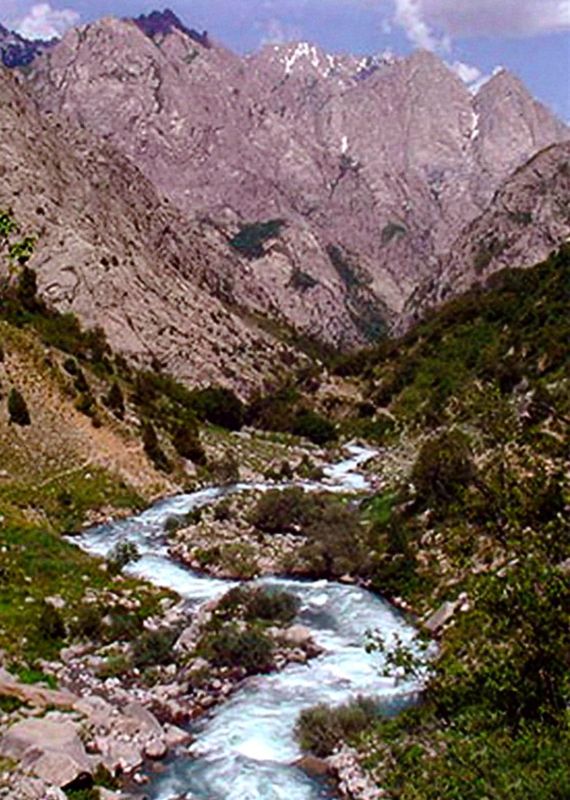 Птицы небесные. 1-2 части - i_011.jpg