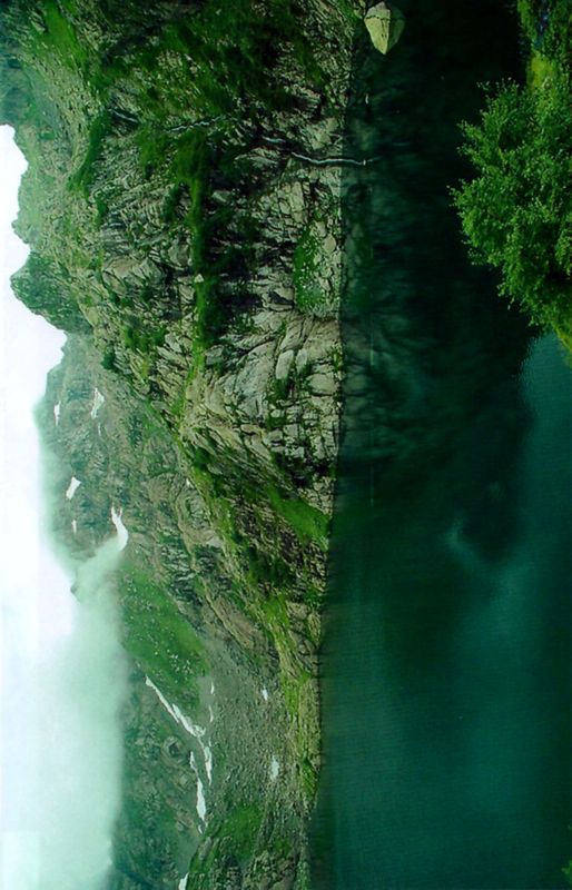 Птицы небесные. 1-2 части - i_023.jpg