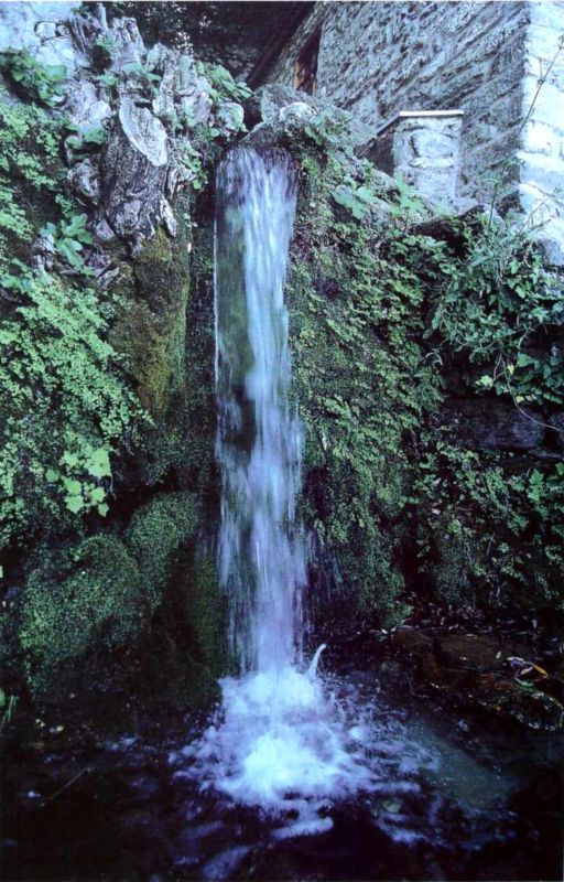 Птицы небесные. 3-4 части - i_006.jpg