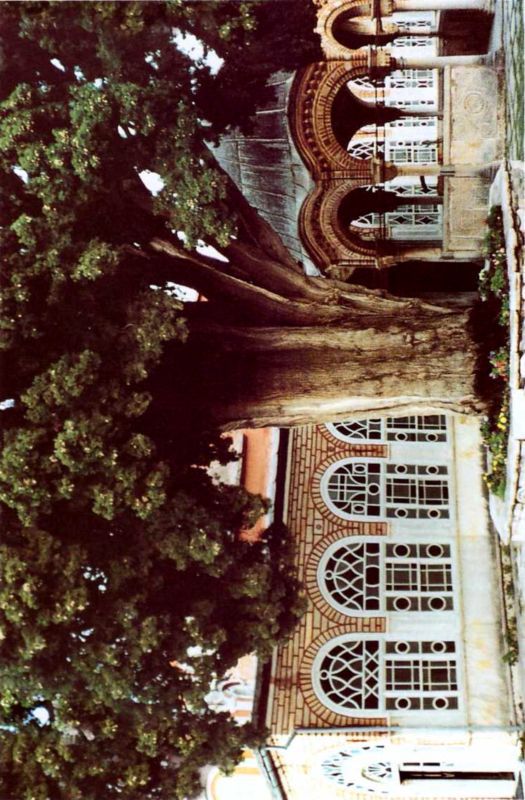 Птицы небесные. 3-4 части - i_021.jpg