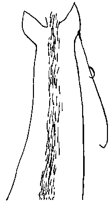 Брут - i_016.png