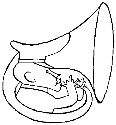 Брут - i_032.png