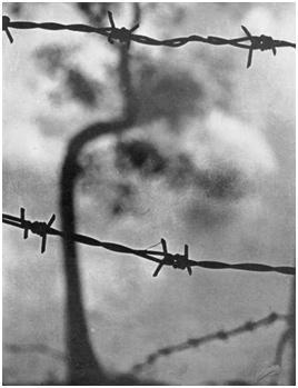 Черная шкатулка - i_018.jpg