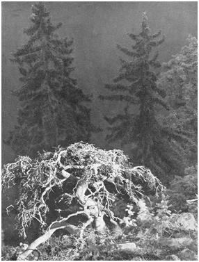 Черная шкатулка - i_074.jpg