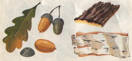 Что можно сделать из природного материала - i_003.jpg