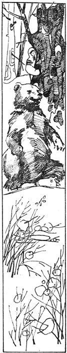 Таёжные рассказы - i_004.jpg