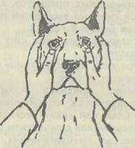 Здоровье Вашей собаки - i_002.jpg