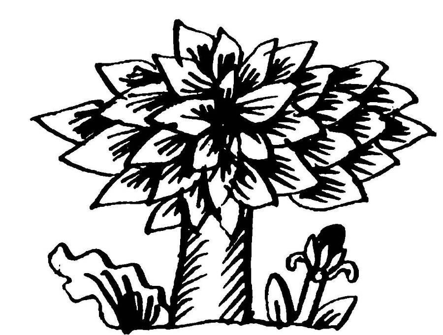 От былины до считалки - _5.jpg