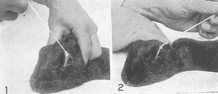 Совершенное зрение без очков - _17.jpg