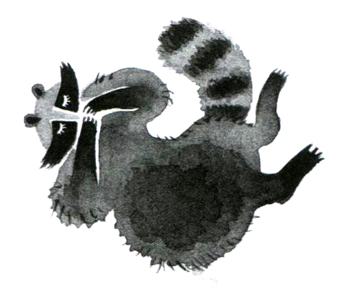 Барсук с нашего двора - i_007.jpg